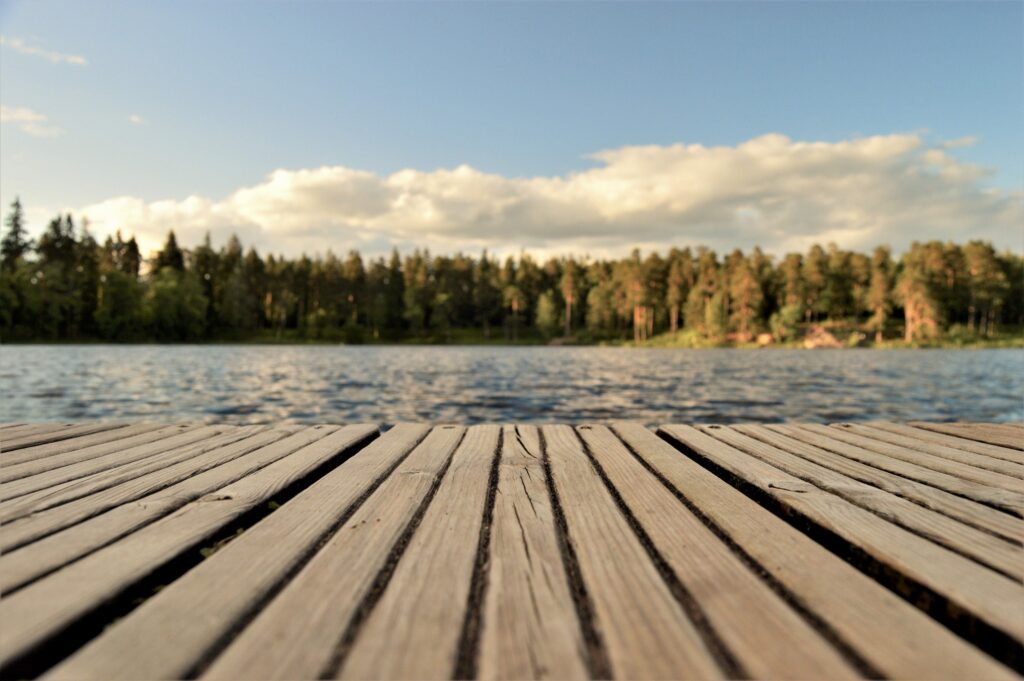 Another View of the Lake