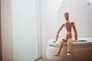 Bidet Toilet Seat